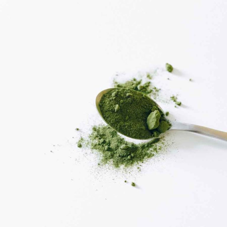 Read more about the article Matcha Mania